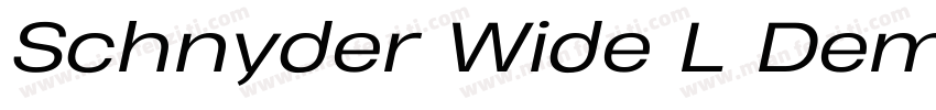 Schnyder Wide L Dem字体转换